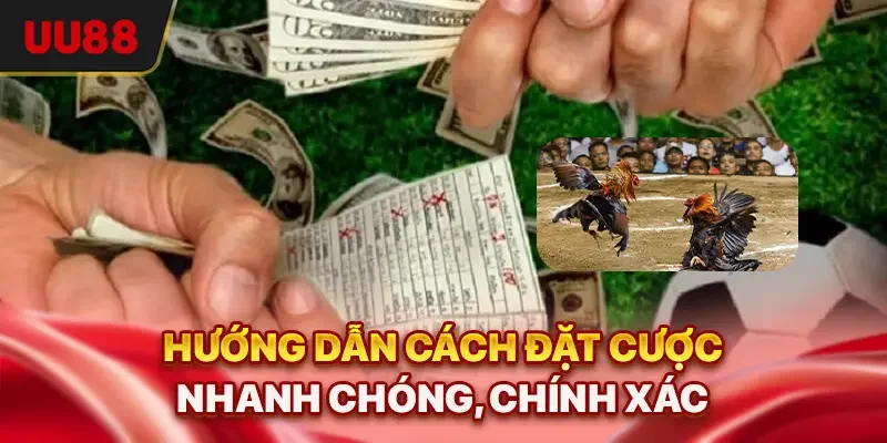Hướng dẫn cách đặt cược nhanh chóng, chính xác