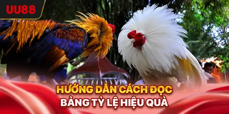 Hướng dẫn cách đọc bảng tỷ lệ hiệu quả